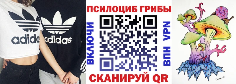Псилоцибиновые грибы прущие грибы  как найти   KRAKEN   Богучар 